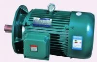青州三相異步電動機(jī)哪家?